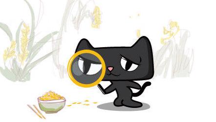 天貓轉(zhuǎn)讓的時(shí)候到底該如何選擇網(wǎng)店？