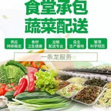 餐飲與歌舞的融合 一場感官與情感的盛宴